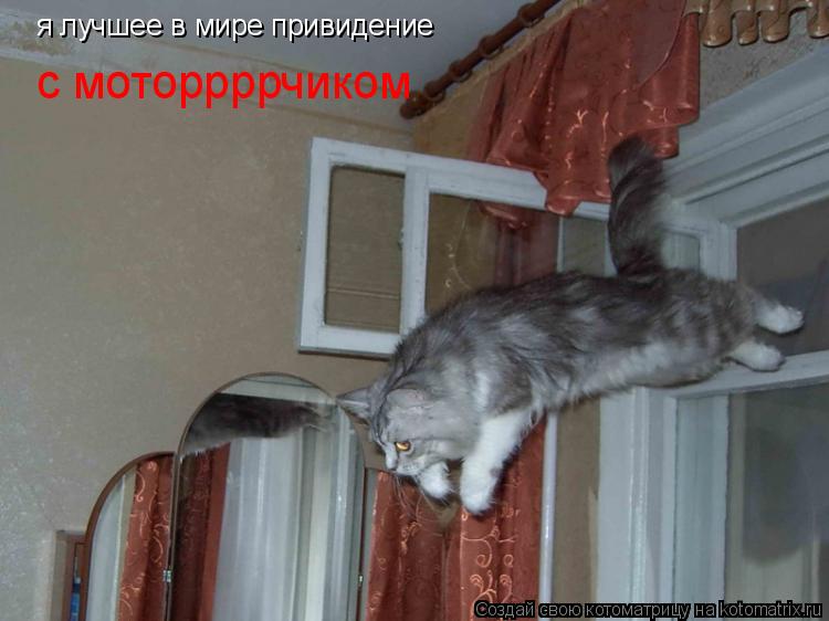 Котоматрица: я лучшее в мире привидение с моторрррчиком