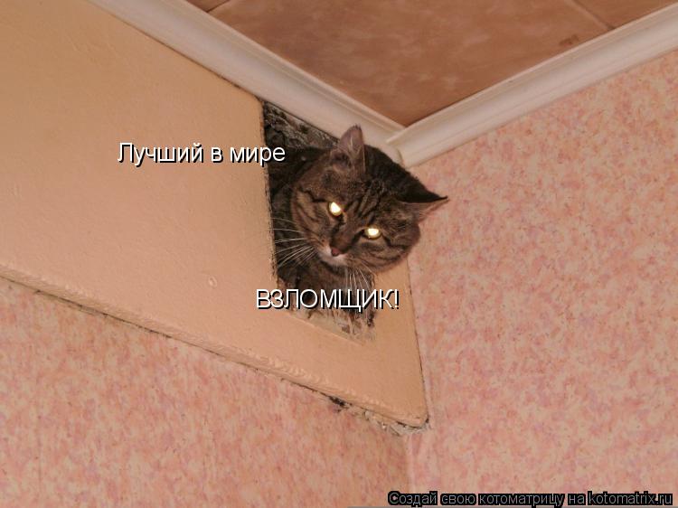Котоматрица: Лучший в мире ВЗЛОМЩИК!