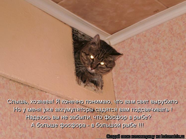 Котоматрица: Слышь, хозяева! Я конечно понимаю, что вам свет вырубило Надеюсь вы не забыли, что фосфор в рыбе? Но у меня уже аккумуляторы садятся вам подсв