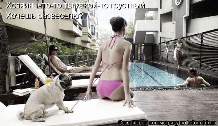 Хозяин, что-то ты какой-то грустный... Хочешь развеселю?... Котоматрица: Хозяин, что-то ты какой-то грустный... Хочешь развеселю?