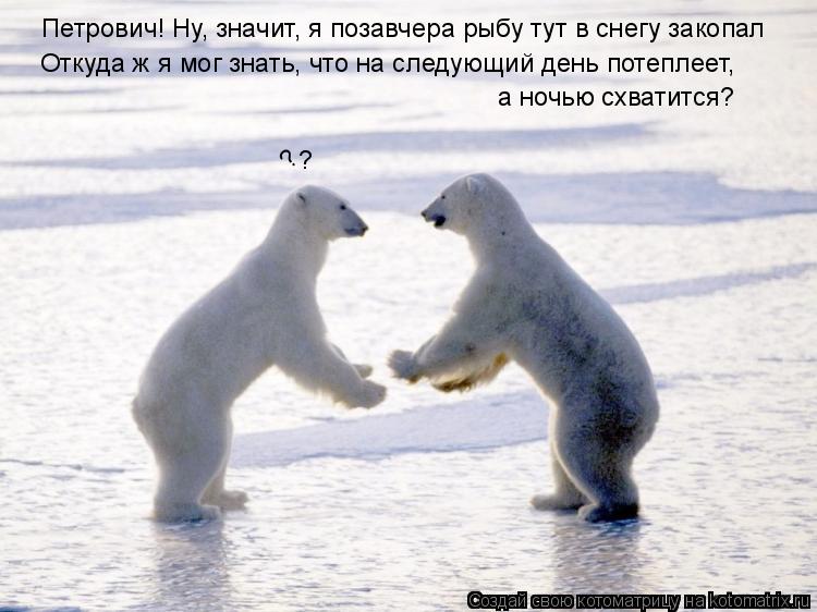 Котоматрица: Петрович! Ну, значит, я позавчера рыбу тут в снегу закопал Откуда ж я мог знать, что на следующий день потеплеет, а ночью схватится? ? ?