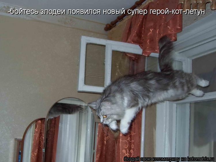 -бойтесь злодеи появился новый супер герой-кот-летун... Котоматрица: -бойтесь злодеи появился новый супер герой-кот-летун