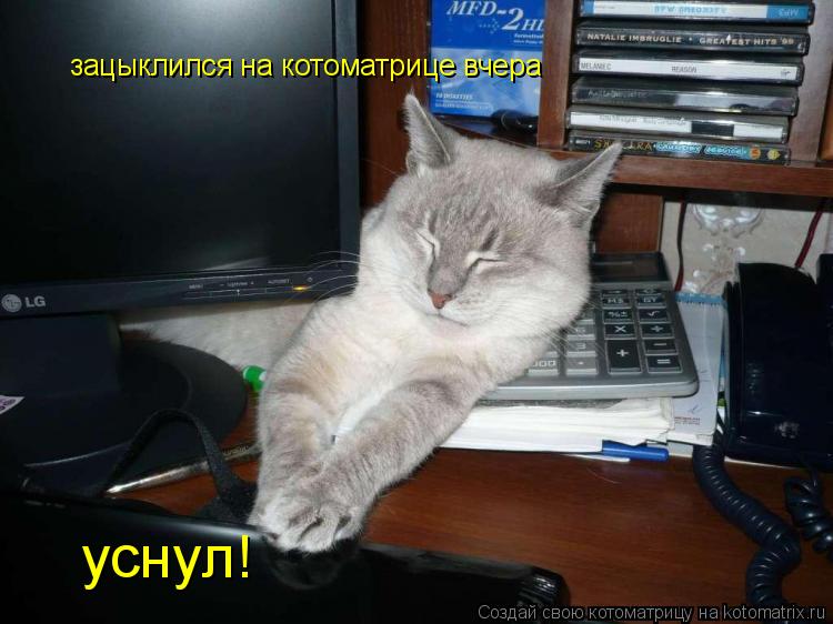 Котоматрица: зацыклился на котоматрице вчера уснул!
