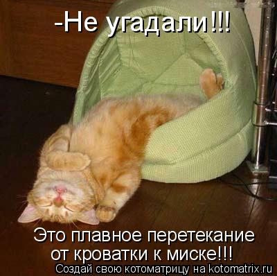 Котоматрица: -Не угадали!!!  Это плавное перетекание  от кроватки к миске!!!