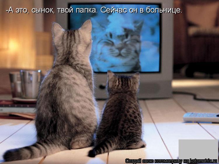 Котоматрица: -А это, сынок, твой папка. Сейчас он в больнице.