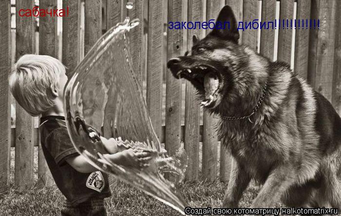 Котоматрица: сабачка! заколебал  дибил!!!!!!!!!!!!