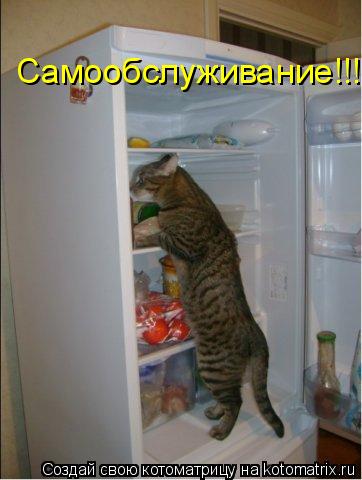 Котоматрица: Самообслуживание!!!