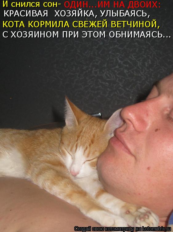 Котоматрица: И снился сон-  ОДИН...ИМ НА ДВОИХ: КРАСИВАЯ  ХОЗЯЙКА, УЛЫБАЯСЬ, КОТА КОРМИЛА СВЕЖЕЙ ВЕТЧИНОЙ, С ХОЗЯИНОМ ПРИ ЭТОМ ОБНИМАЯСЬ...