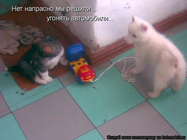 Котоматрица: Нет напрасно мы решили угонять автомобили...