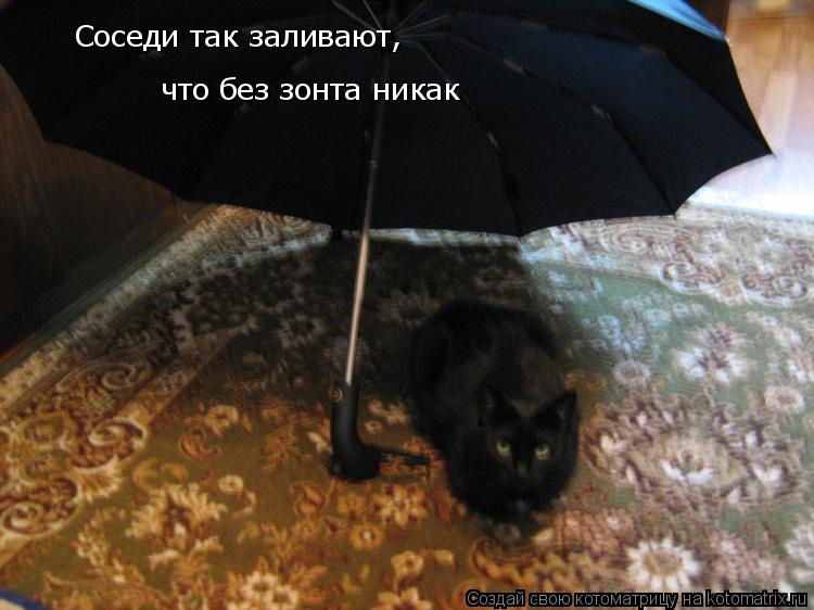 Котоматрица: Соседи так заливают, что без зонта никак