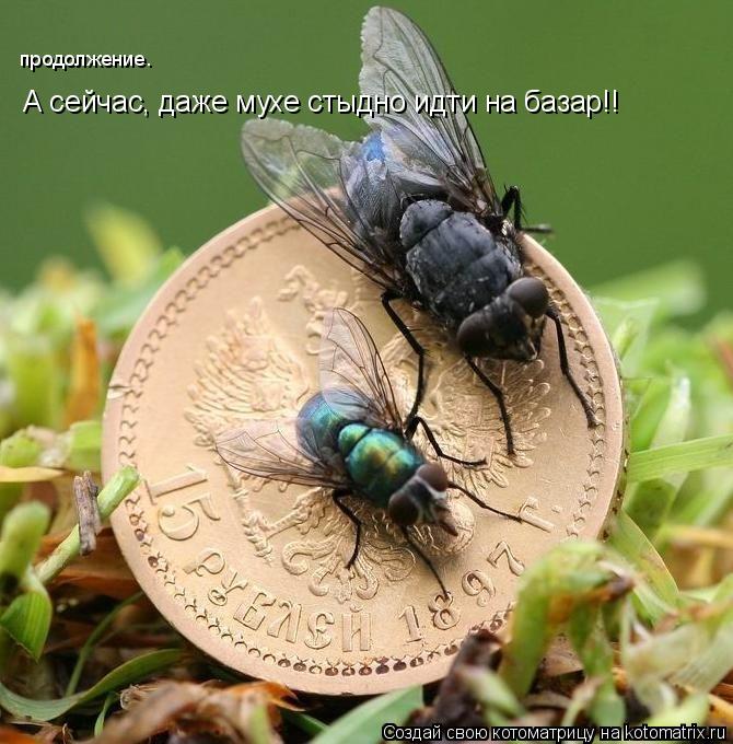 Котоматрица: А сейчас, даже мухе стыдно идти на базар!! продолжение.
