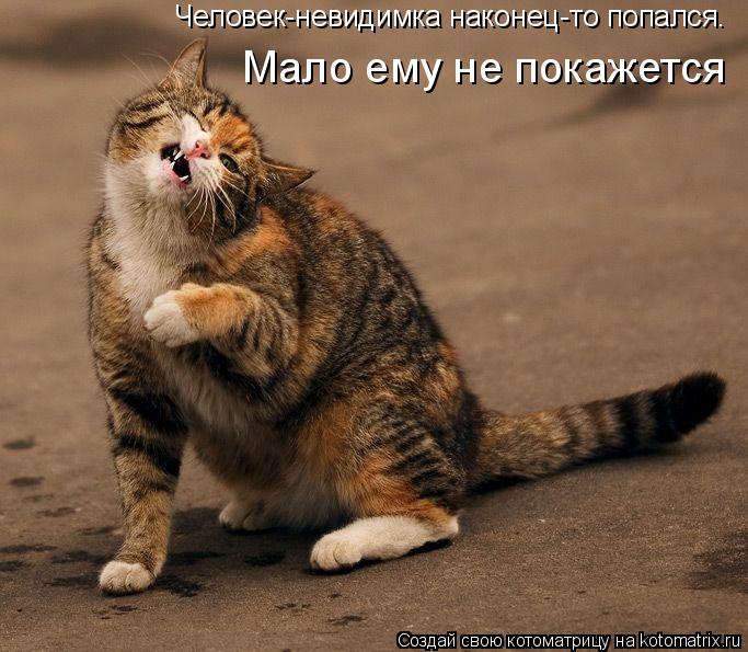 Котоматрица: Человек-невидимка наконец-то попался. Мало ему не покажется