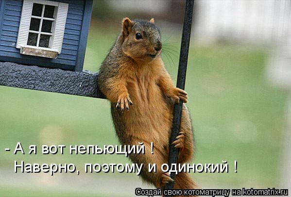 Котоматрица: - А я вот непьющий ! Наверно, поэтому и одинокий !