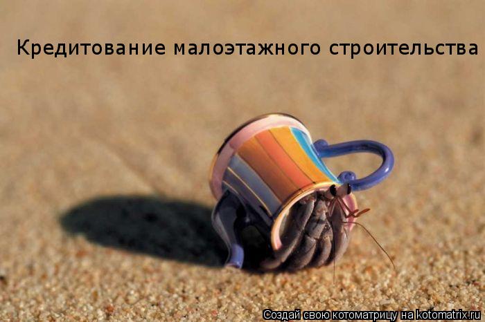 Котоматрица: Кредитование малоэтажного строительства