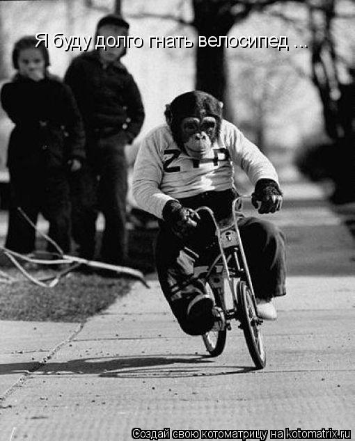 Котоматрица: Я буду долго гнать велосипед ...