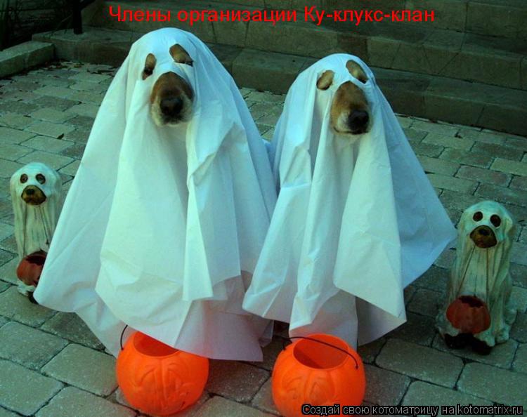 Котоматрица: Члены организации Ку-клукс-клан