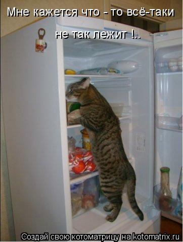 Котоматрица: Мне кажется что - то всё-таки    не так лежит !..