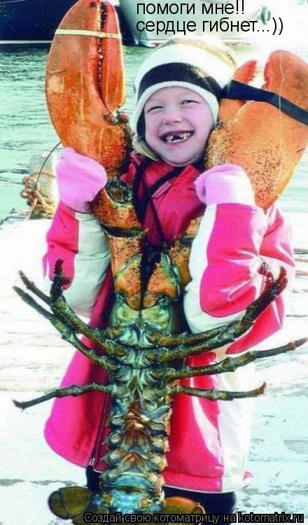 Котоматрица: помоги мне!! сердце гибнет...))