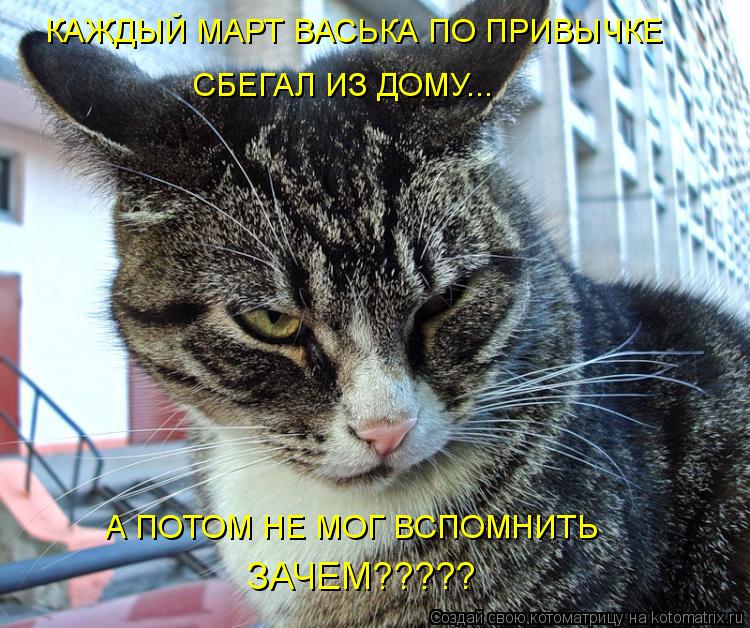 Котоматрица: КАЖДЫЙ МАРТ ВАСЬКА ПО ПРИВЫЧКЕ СБЕГАЛ ИЗ ДОМУ... А ПОТОМ НЕ МОГ ВСПОМНИТЬ ЗАЧЕМ?????