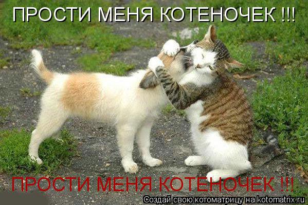 Котоматрица: ПРОСТИ МЕНЯ КОТЕНОЧЕК !!! ПРОСТИ МЕНЯ КОТЕНОЧЕК !!!