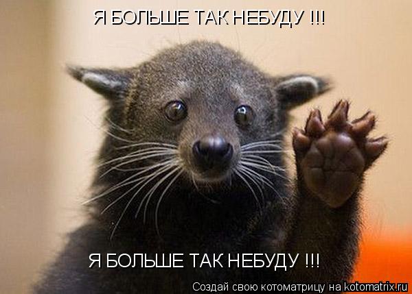 Котоматрица: Я БОЛЬШЕ ТАК НЕБУДУ !!! Я БОЛЬШЕ ТАК НЕБУДУ !!!
