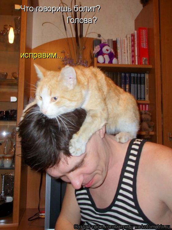 Котоматрица: Что говоришь болит? Голова? исправим...