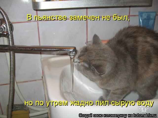 Котоматрица: В пьянстве замечен не был,  но по утрам жадно пил сырую воду