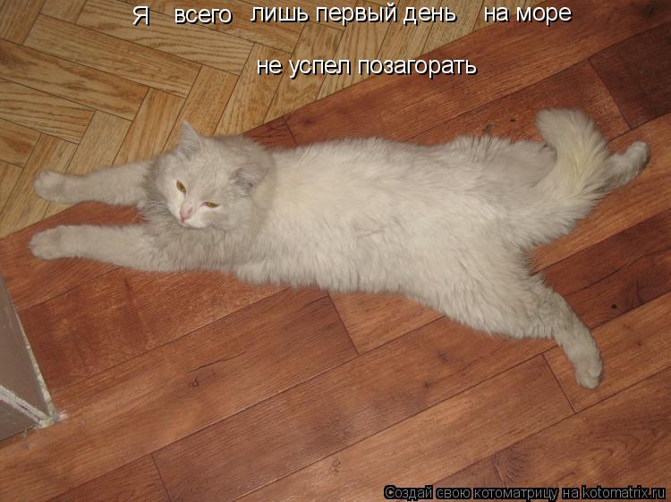 Котоматрица: Я всего лишь первый день на море не успел позагорать