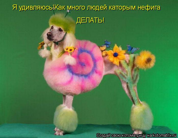 Котоматрица: Я удивляюсь!Как много людей каторым нефига  ДЕЛАТЬ!