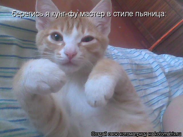 Котоматрица: берегись я кунг-фу мастер в стиле пьяница: берегись я кунг-фу мастер в стиле пьяница: