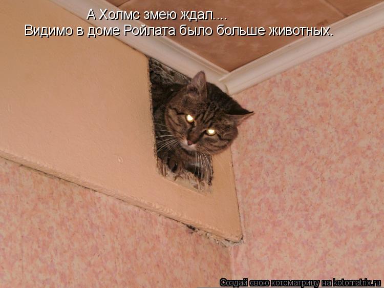 Котоматрица: А Холмс змею ждал.... Видимо в доме Ройлата было больше животных.
