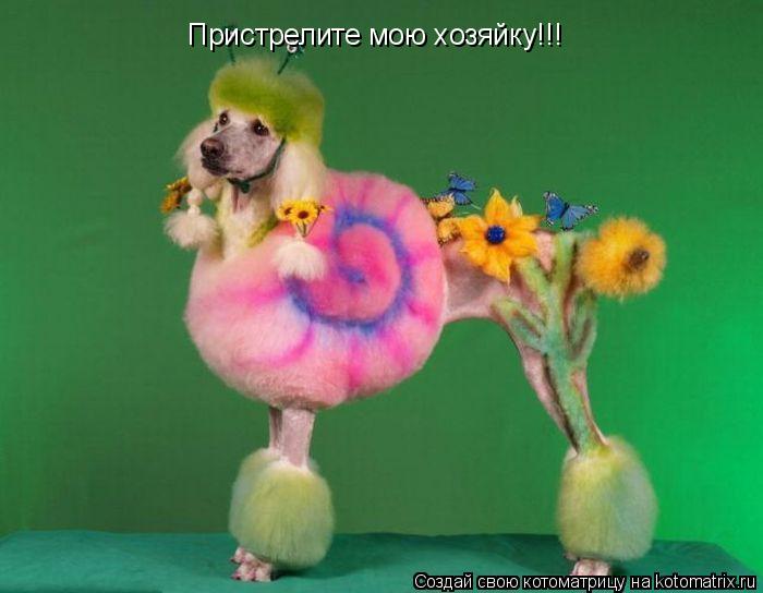 Котоматрица: Пристрелите мою хозяйку!!!