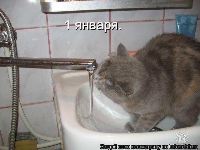 Котоматрица: 1 января.