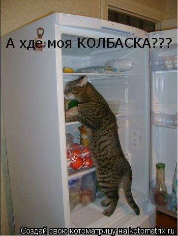 Котоматрица: А хде моя КОЛБАСКА???