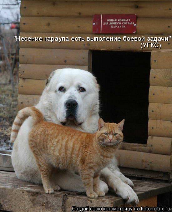 Котоматрица: "Несение караула есть выполение боевой задачи" (УГКС)