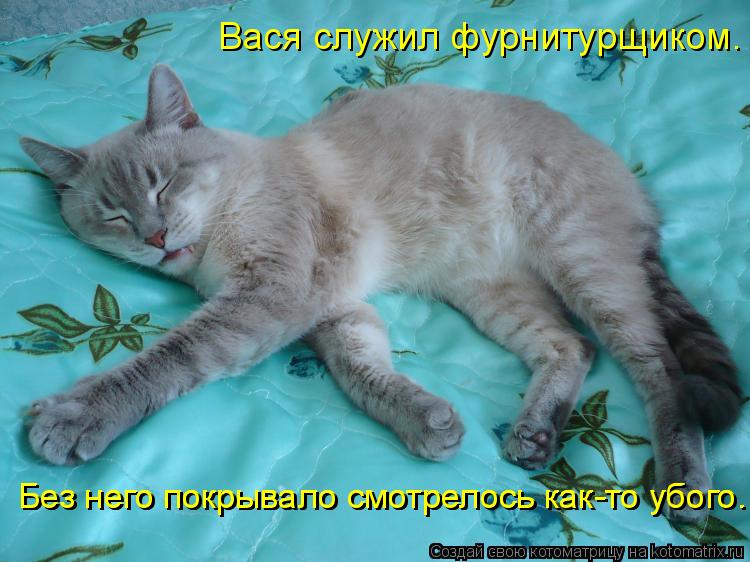 Котоматрица: Вася служил фурнитурщиком. Без него покрывало смотрелось как-то убого. Без него покрывало смотрелось как-то убого.