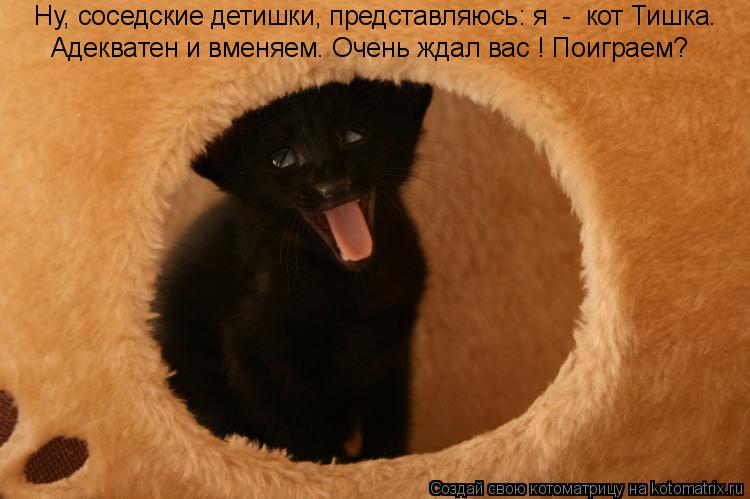 Ну, соседские детишки, представляюсь: я - кот Тишка. Адекватен и вменяем. Очень ждал вас ! Поиграе... Котоматрица: Ну, соседские детишки, представляюсь: я - кот Тишка. Адекватен и вменяем. Очень ждал вас ! Поиграем?