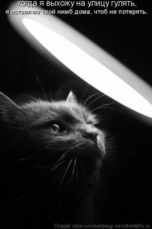 когда я выхожу на улицу гулять, я оставляю свой нимб дома, чтоб не потерять.... Котоматрица: когда я выхожу на улицу гулять, я оставляю свой нимб дома, чтоб не потерять.