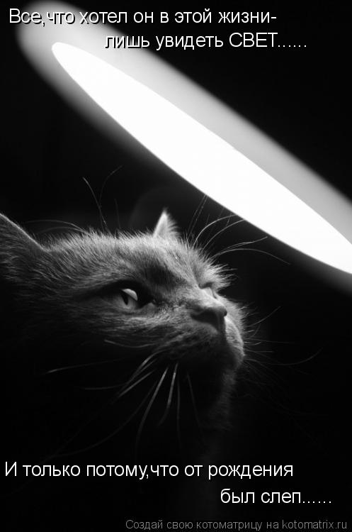 Все,что хотел он в этой жизни- лишь увидеть СВЕТ...... И только потому,что от рождения был слеп........ Котоматрица: Все,что хотел он в этой жизни- лишь увидеть СВЕТ...... И только потому,что от рождения был слеп......