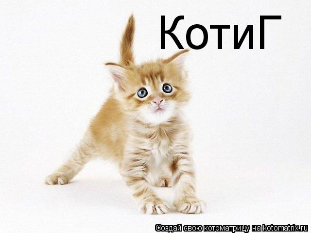КотиГ... Котоматрица: КотиГ