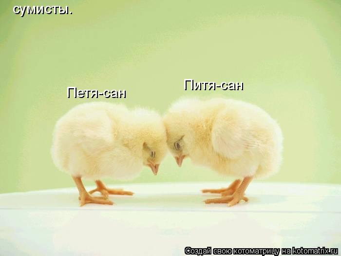 сумисты. Петя-сан Питя-сан... Котоматрица: сумисты. Петя-сан Питя-сан