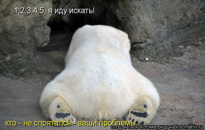 1,2,3,4,5, я иду искать! кто - не спрятался - ваши проблемы...... Котоматрица: 1,2,3,4,5, я иду искать! кто - не спрятался - ваши проблемы...