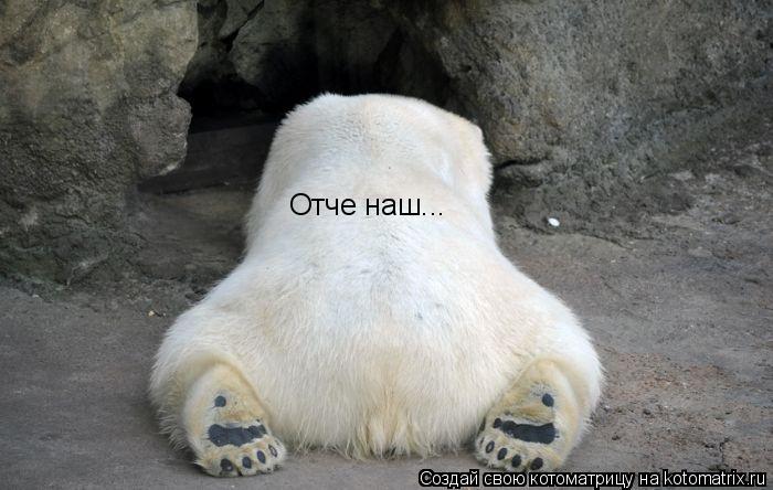 Отче наш...... Котоматрица: Отче наш...