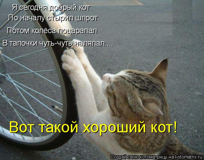 Котоматрица: Я сегодня добрый кот: По началу стырил шпрот Потом колёса поцарапал В тапочки чуть-чуть наляпал.... Вот такой хороший кот!