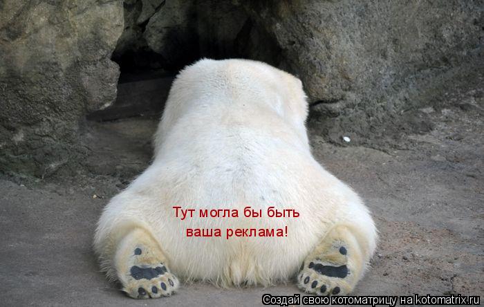 Тут могла бы быть ваша реклама!... Котоматрица: Тут могла бы быть ваша реклама!