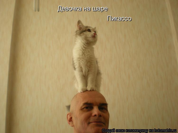 Девочка на шаре Пикассо... Котоматрица: Девочка на шаре Пикассо