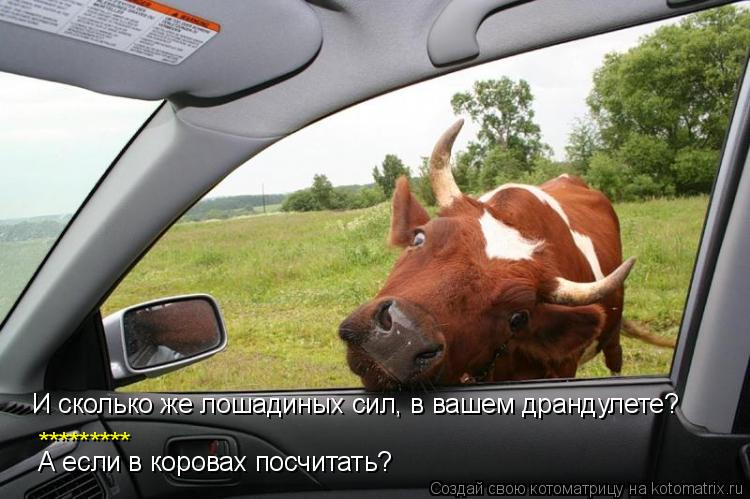 ********* А если в коровах посчитать? И сколько же лошадиных сил, в вашем драндулете?... Котоматрица: ********* А если в коровах посчитать? И сколько же лошадиных сил, в вашем драндулете?