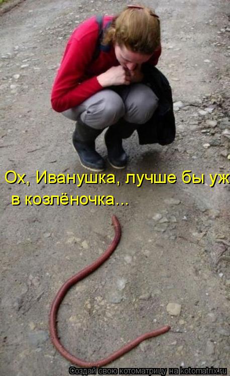 Ох, Иванушка, лучше бы уж в козлёночка...... Котоматрица: Ох, Иванушка, лучше бы уж в козлёночка...