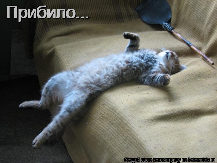 Прибило... Прибило... Прибило...... Котоматрица: Прибило... Прибило... Прибило...