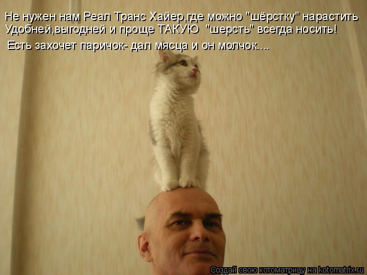 Удобней,выгодней и проще ТАКУЮ "шерсть" всегда носить! Есть захочет паричок- дал мясца и он молчок..... Котоматрица: Удобней,выгодней и проще ТАКУЮ "шерсть" всегда носить! Есть захочет паричок- дал мясца и он молчок.... Не нужен нам Реал Транс Хайер,где можно